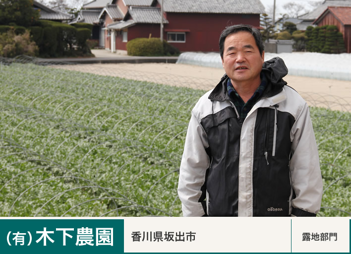 （有）木下農園　香川県坂出市　露地部門